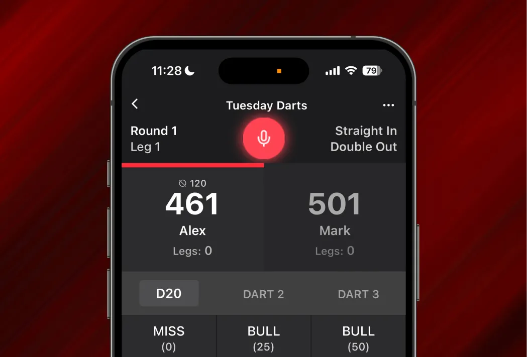 Voice Input